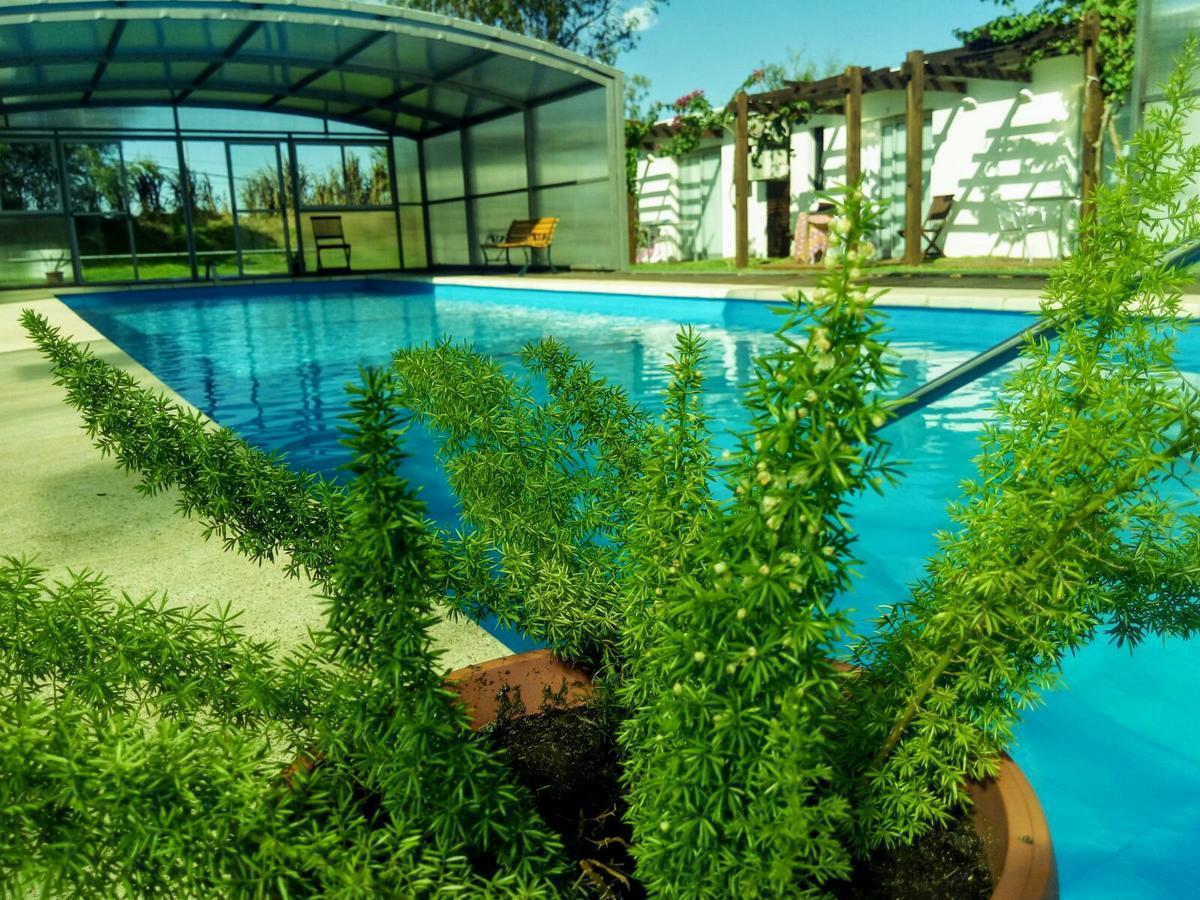 Complejo Juanjo Ramos Hotel Termas del Dayman Exterior photo